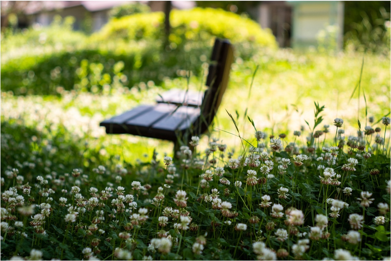 【光学美品】Super Takumar 55mm f1.8 後期　定番のオールドレンズ