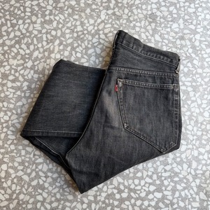NEPENTHES / black denim size M