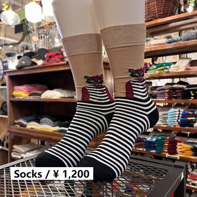 TOPANGA SOCKS Men's　ボーダーキャットソックス