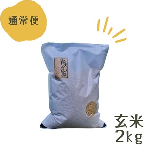 玄米 国内産 2kg