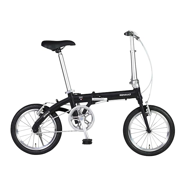 BORN X RAISED & Mister Cartoon & THRONE CYCLES 29inch BMX | Pay ID