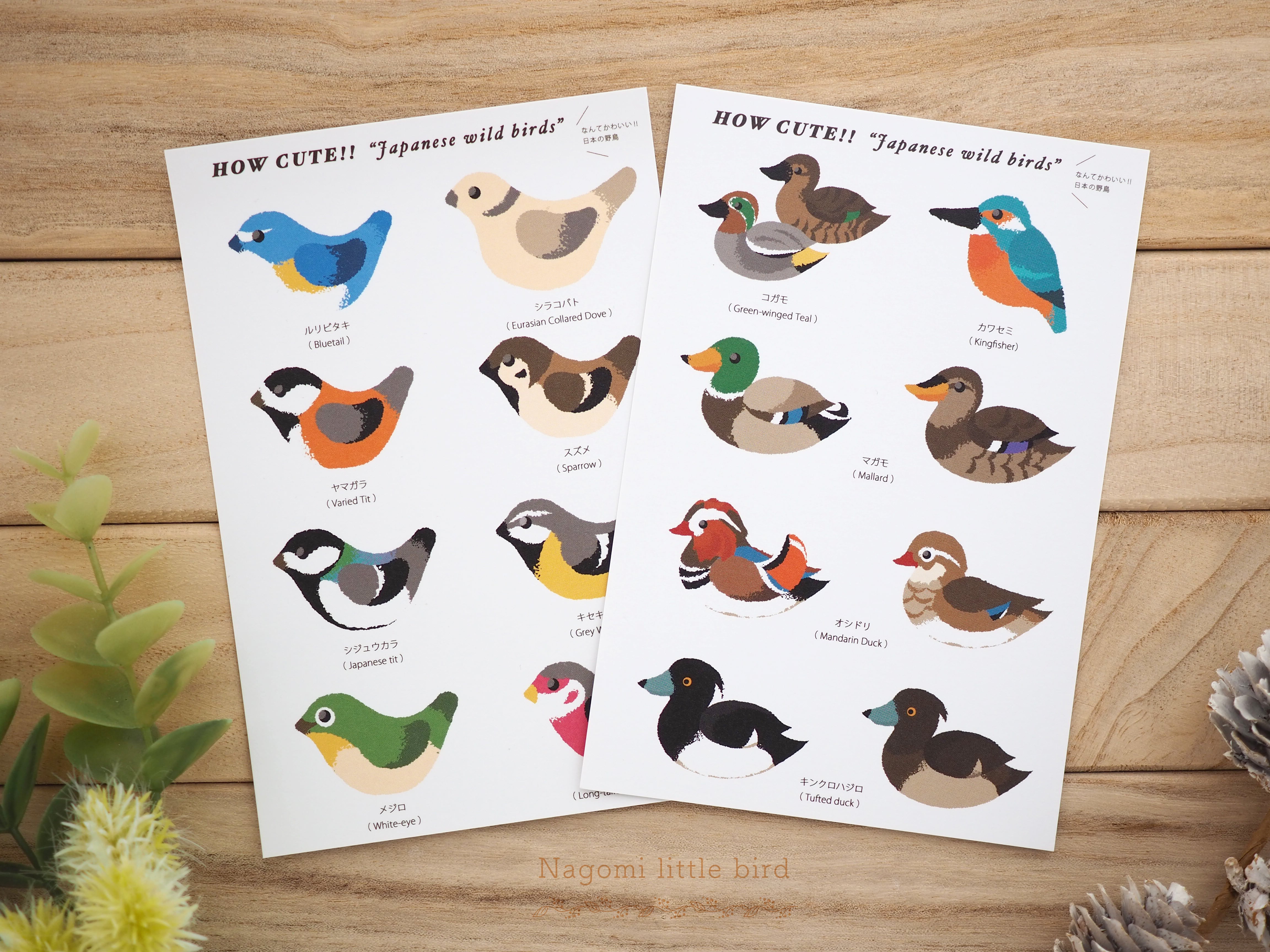 ポストカード『日本の野鳥イラスト』2枚セット | なごみの小鳥