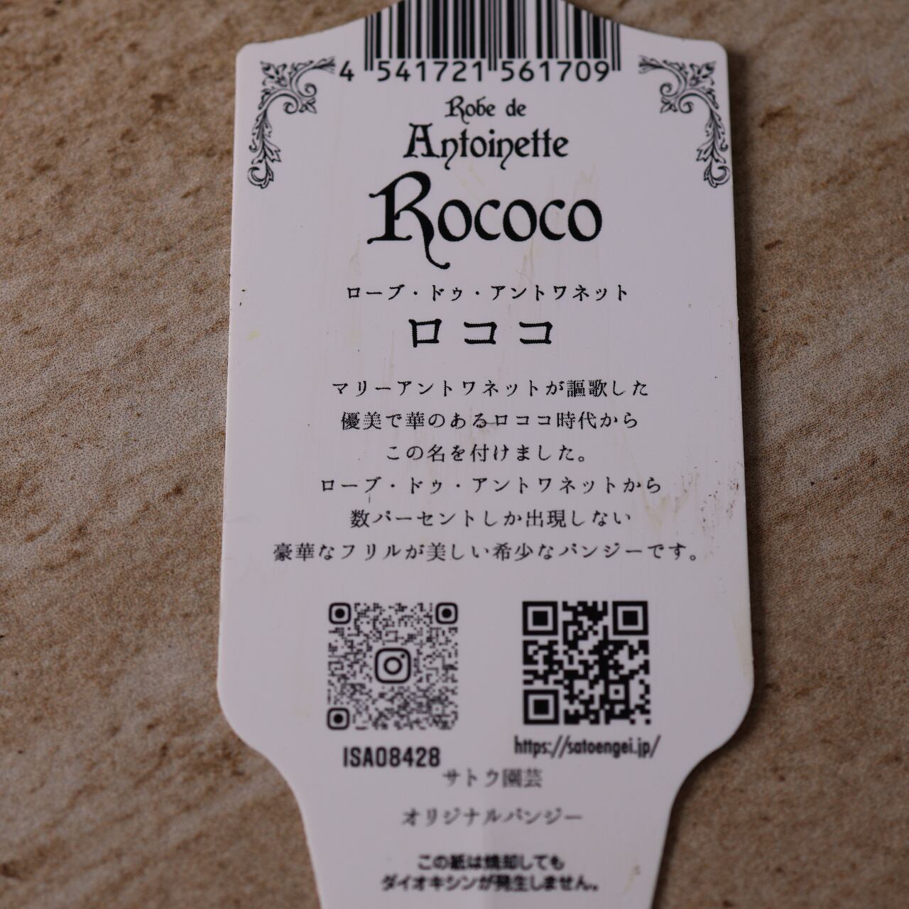 479 超希少！サトウ園芸さんの『ローブ ドゥ アントワネット 