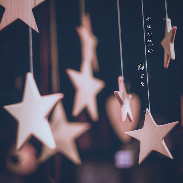 専用ご注文ページ　26012001