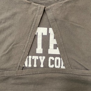 【GILDAN】カレッジ アイビー・テック・コミュニティ大学  プリント Tシャツ XL ビッグサイズ US古着