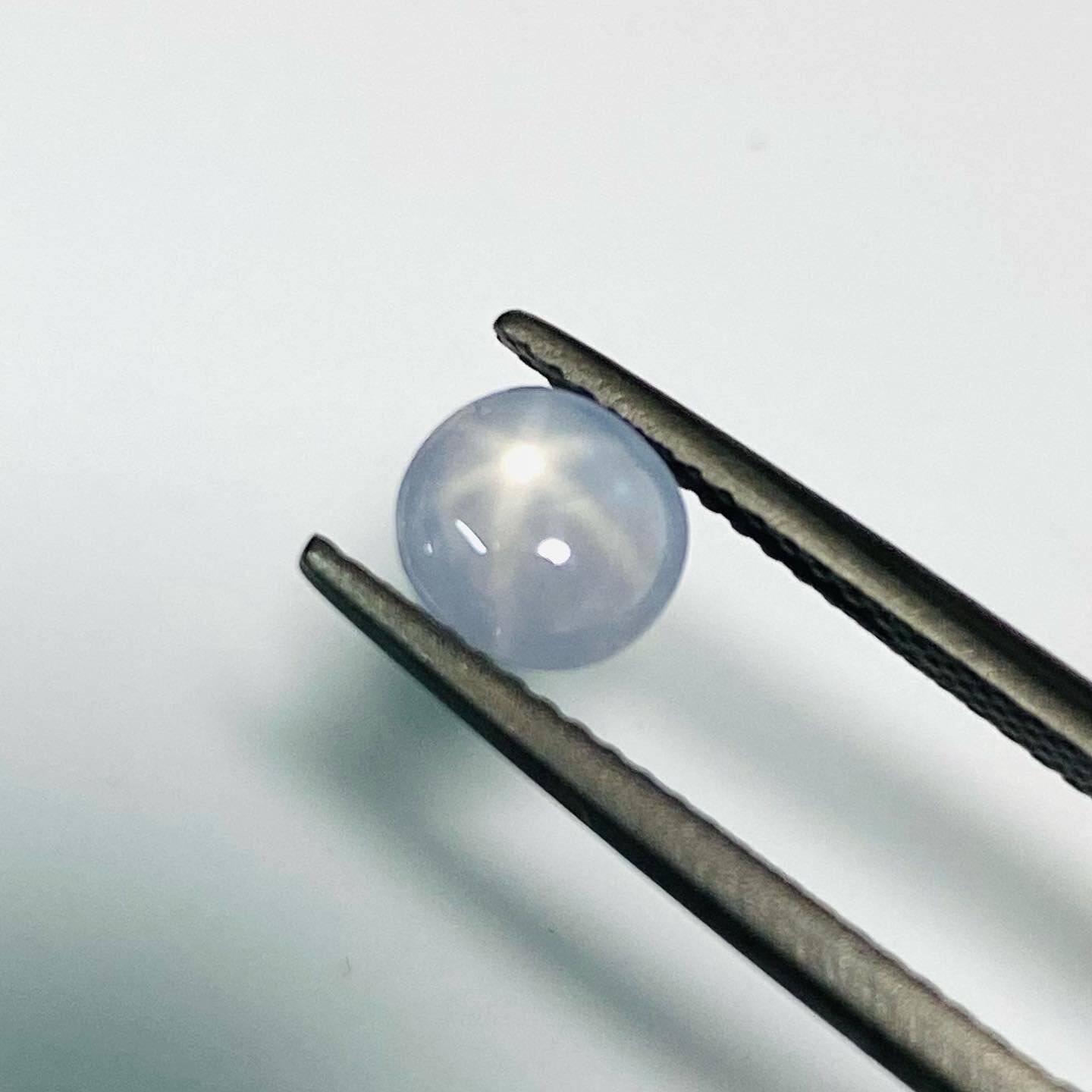 神秘的な海月 スターサファイア