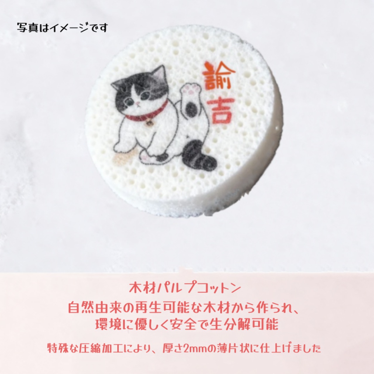 エコ木パルプスポンジ 福猫シリーズ