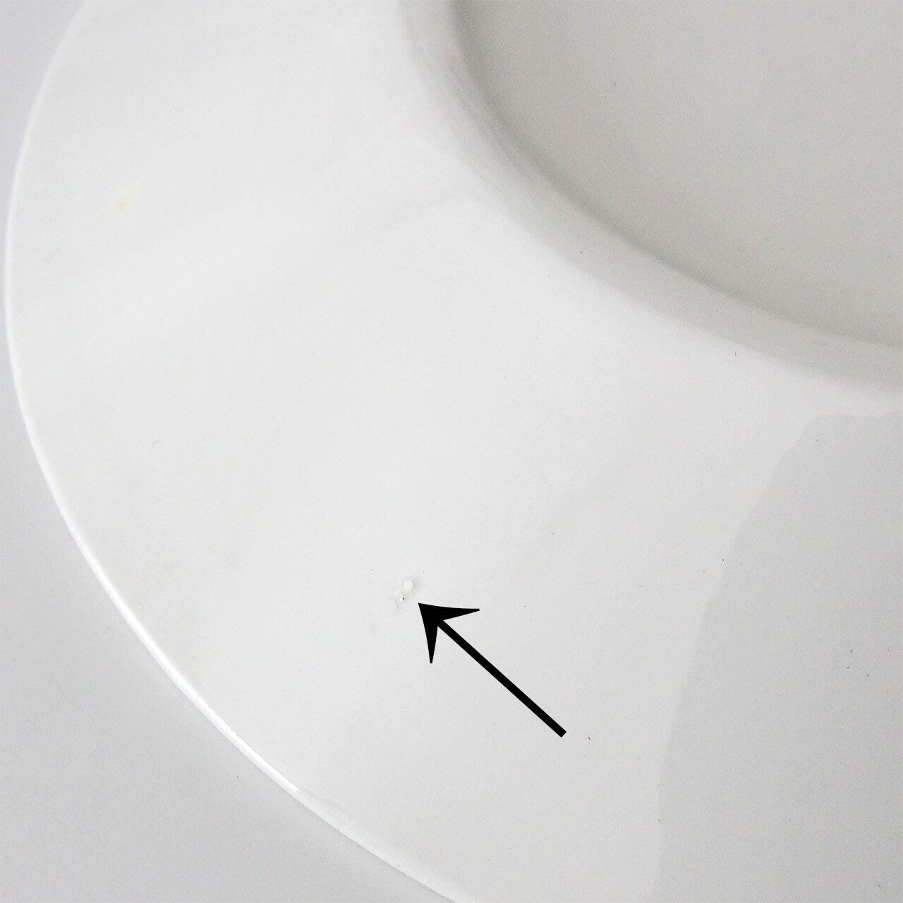 アピラ オーバルプレート21cm （アラビア／ARABIA アピラ／APILA）003