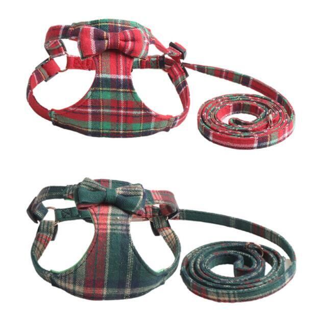 《予約》210913 ウィンターチェックハーネス