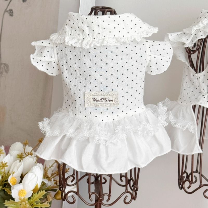 ドット柄とレースフリルスカートのワンピース 犬服猫服 00720