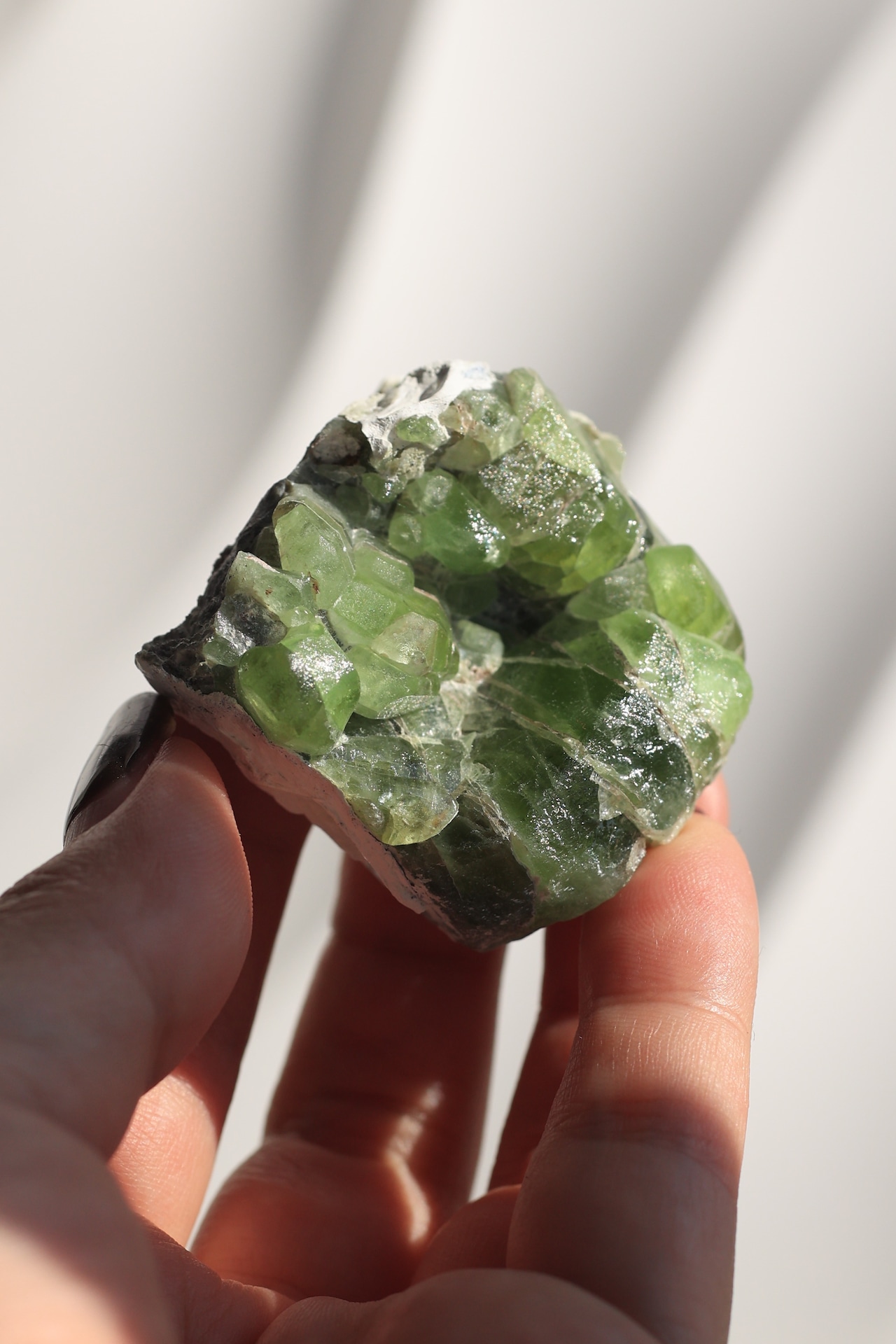 ペリドット「若葉の光」Peridot|天然石 原石 鉱物 パワーストーン | PD-H-001