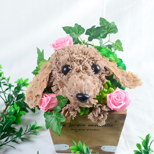 ダックスフンド プリザーブドフラワー 犬 花っぷりフラワーペット カーネーション 花 犬 ペットのお供え 動物 誕生日 プレゼント すりすとん 枯れない花工房 ダックスフンド プリザーブドフラワー 犬 花っぷりフラワーペット カーネーション 花 犬 ペットのお供え 動物 誕生日 プレゼント すりすとん 枯れない花工房