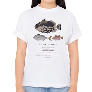 【モンガラカワハギ・ギマ・ベニカワハギ】シーボルトコレクション魚譜Tシャツ（高解像・昇華プリント）