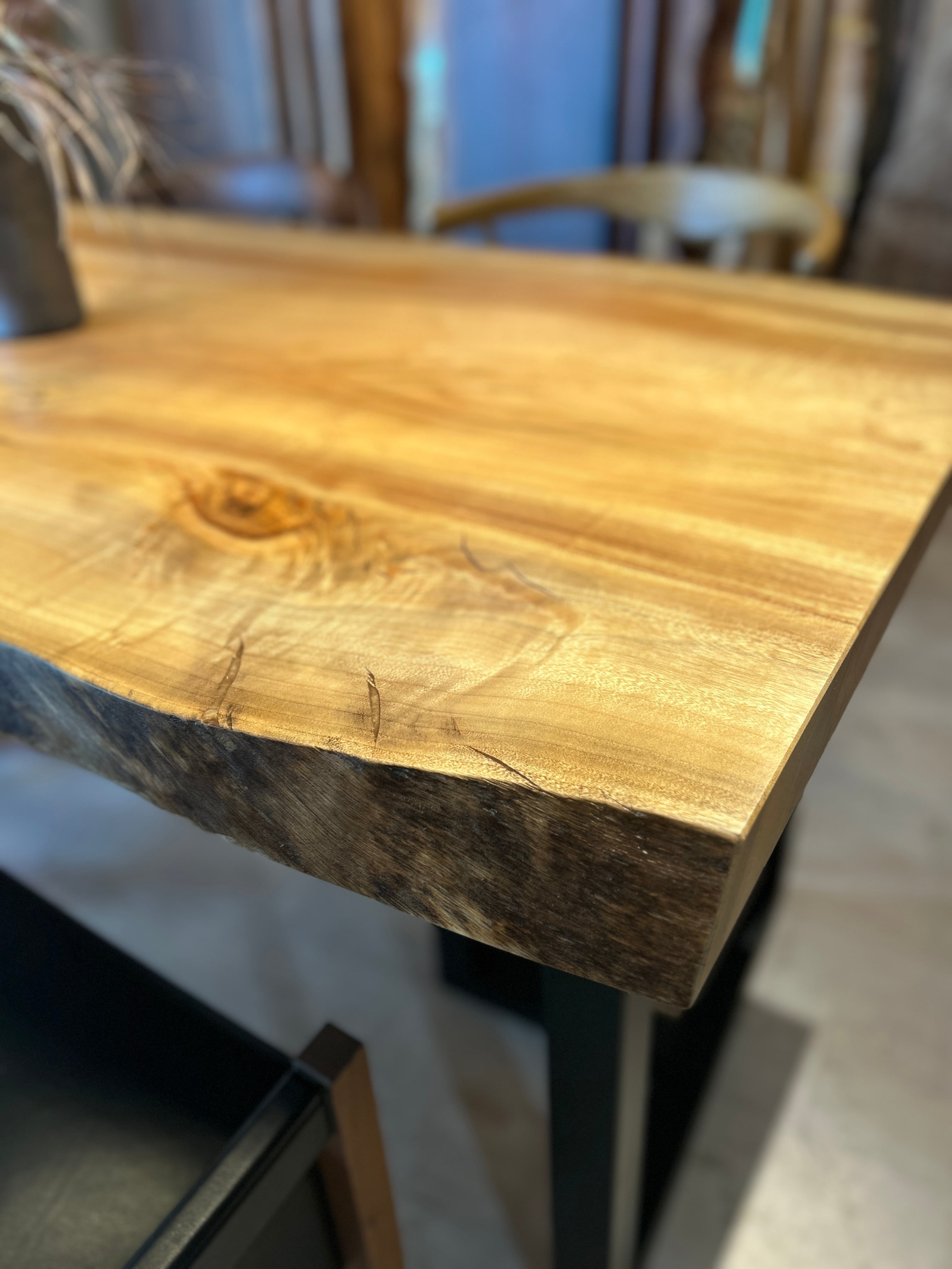 楠（クス）_1600×800×57_青山店_テーブル天板/一枚板 252501 t001