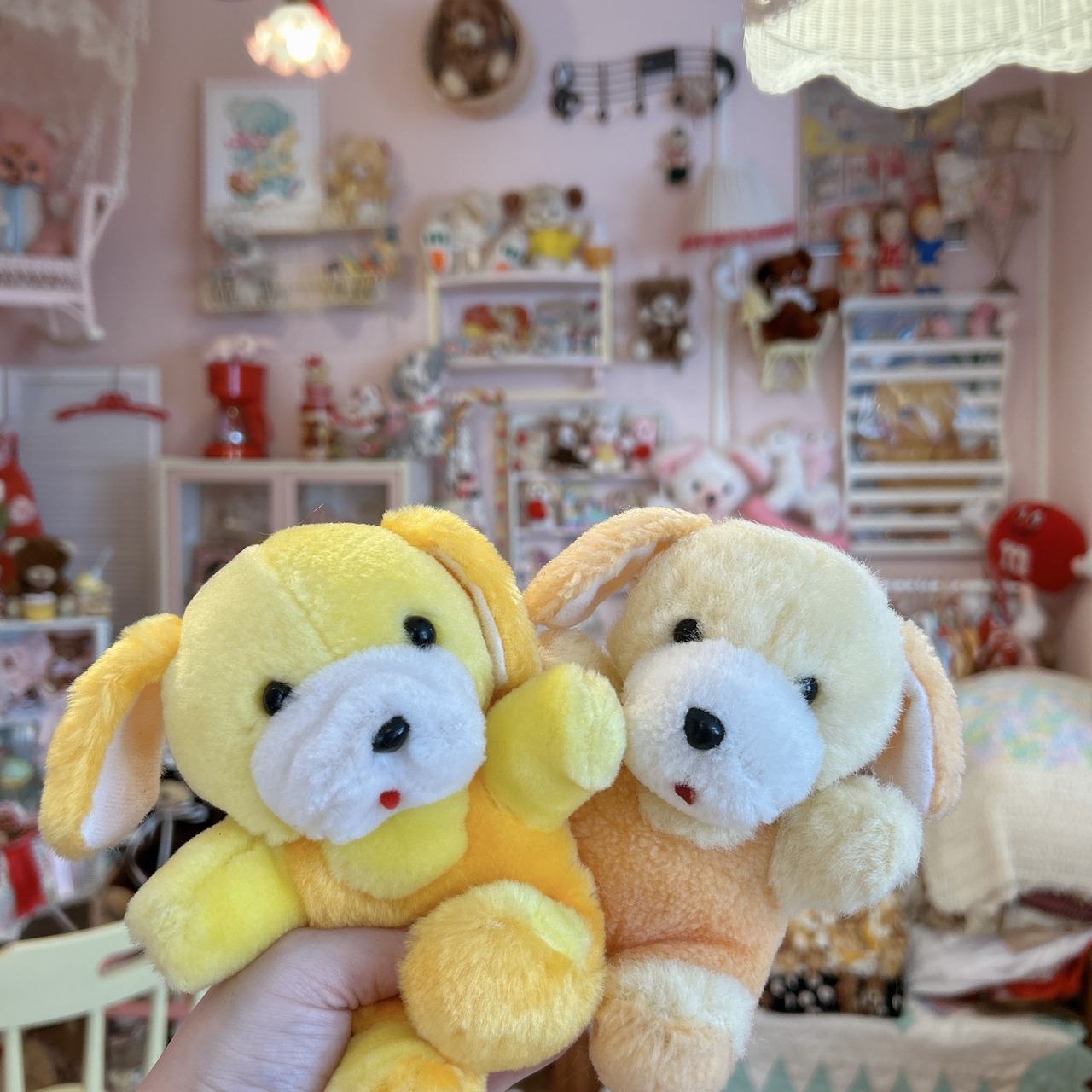 dogの画像13