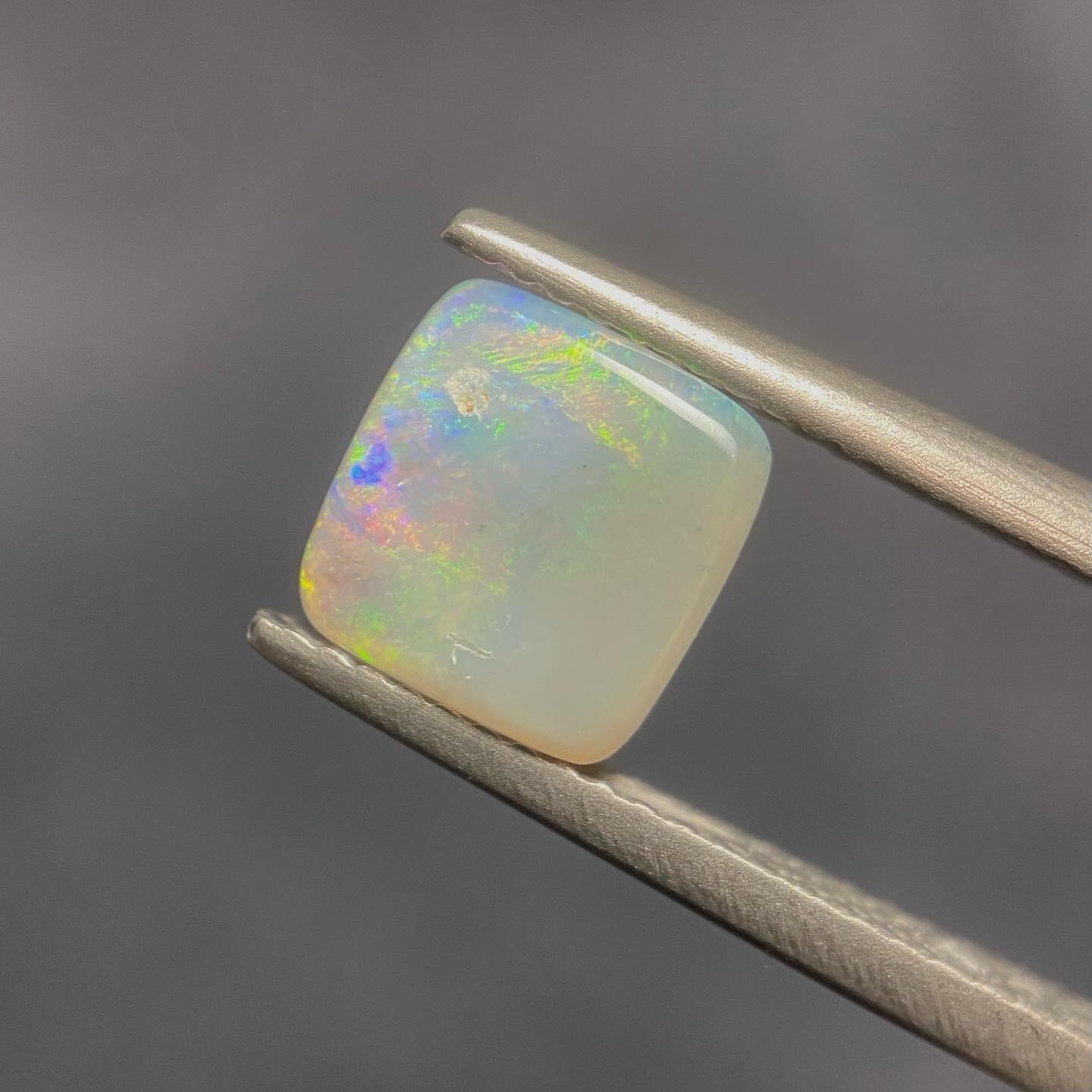 印象派画家の庭 ライトオパール