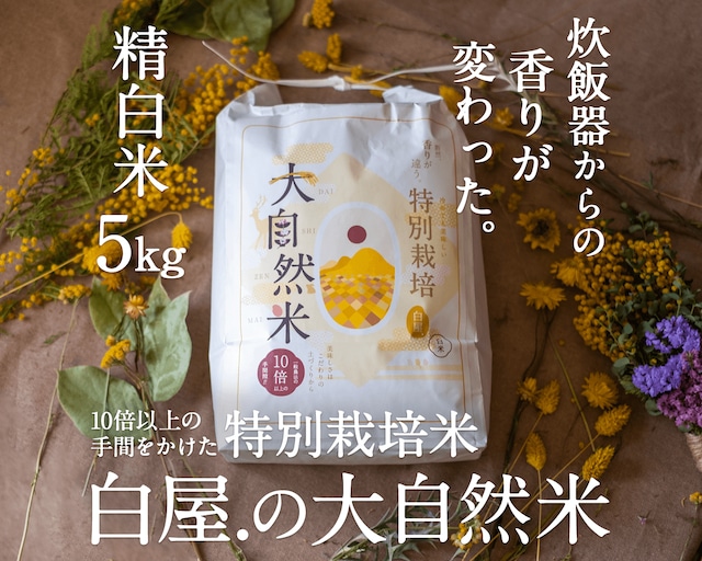 大自然米【5kg】精白米