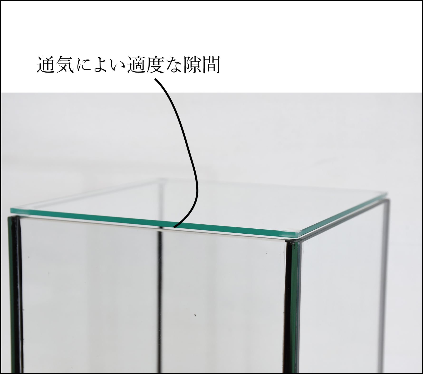 ガラス容器・選べる2種類】 苔テラリウム用 15cmガラス水槽