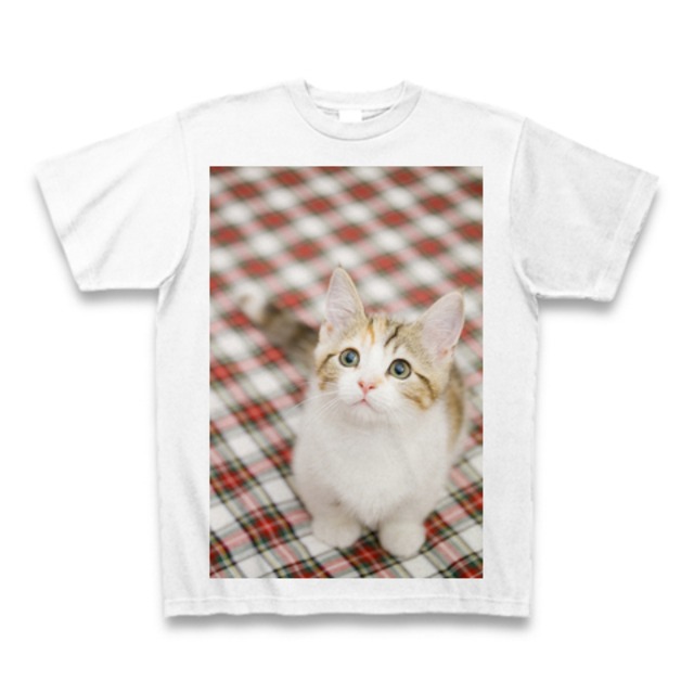 子猫のTシャツ5【送料無料】