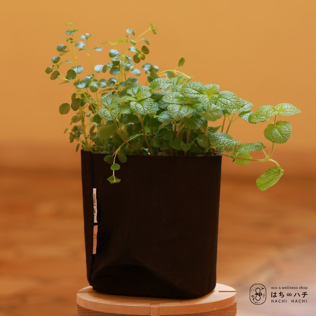 Root Pouch 土に還る植木鉢［2gallon/8liter］