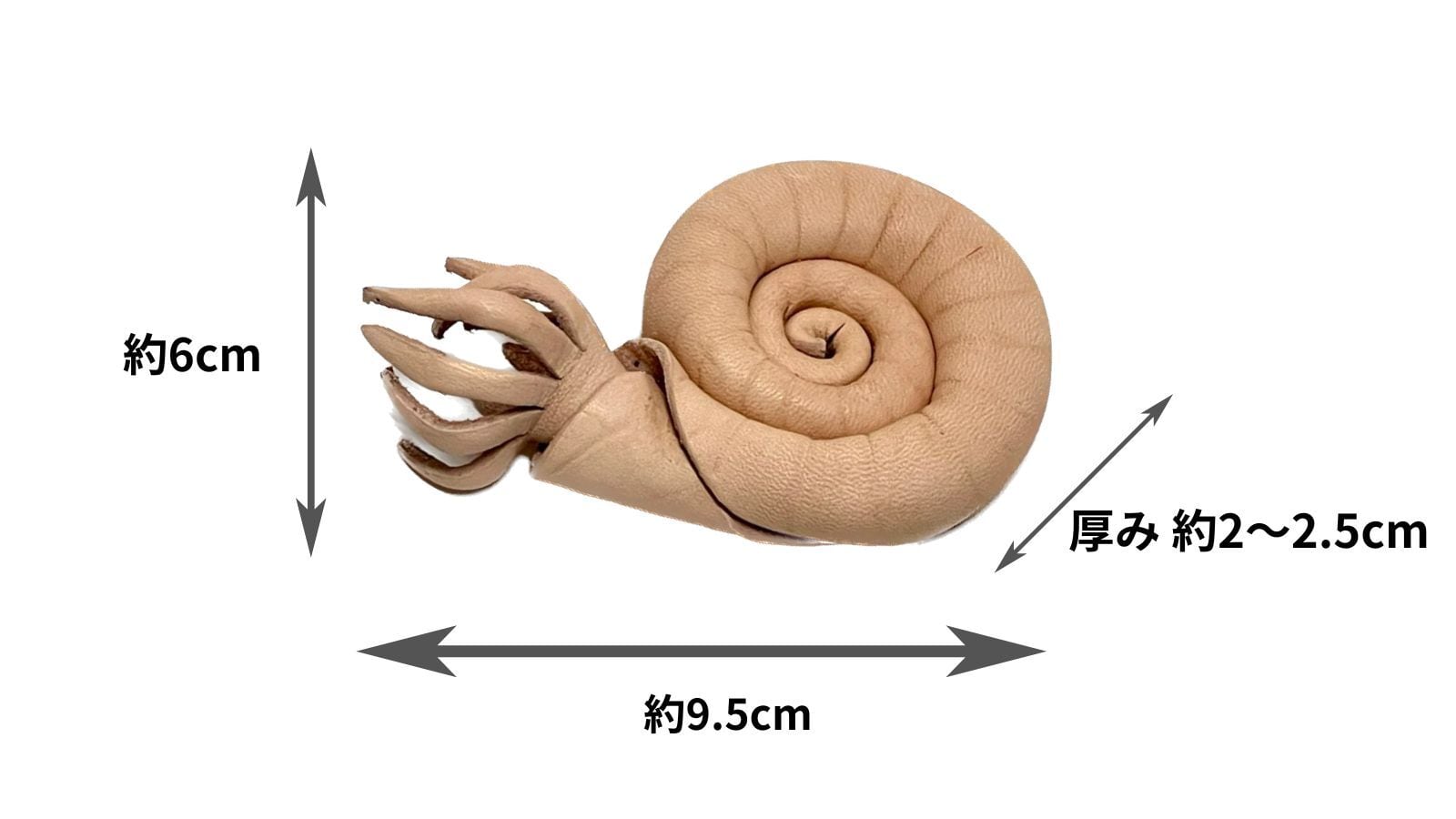 革で作ろう！工作キット【アンモナイト】 | Lilyleather Design