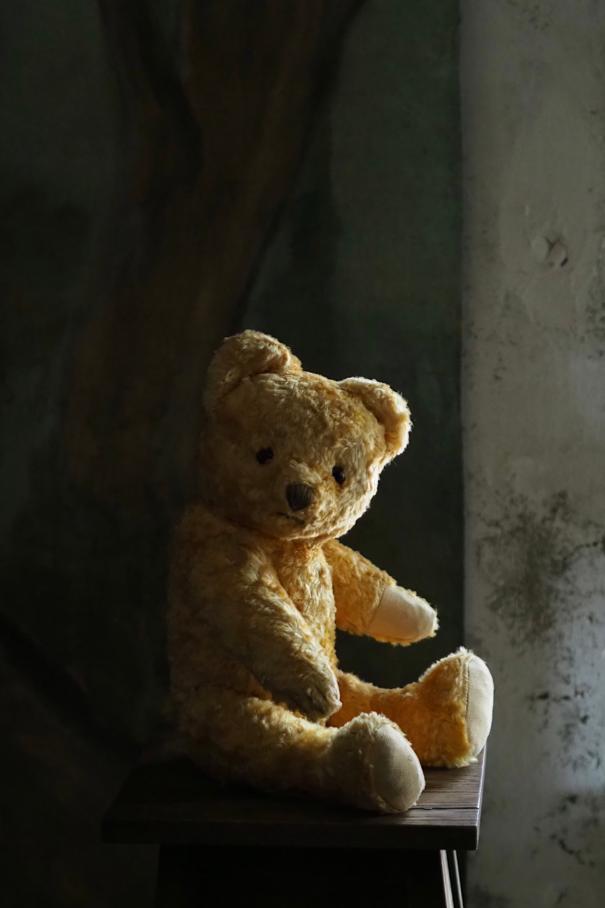 優しい色のテディベア-vintage teddy bear | アンティーク