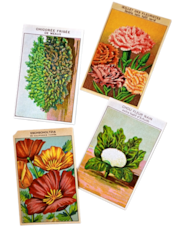20s フランス 4set 膨満な花々と野菜たち 種子袋用ラベルd アンティーク