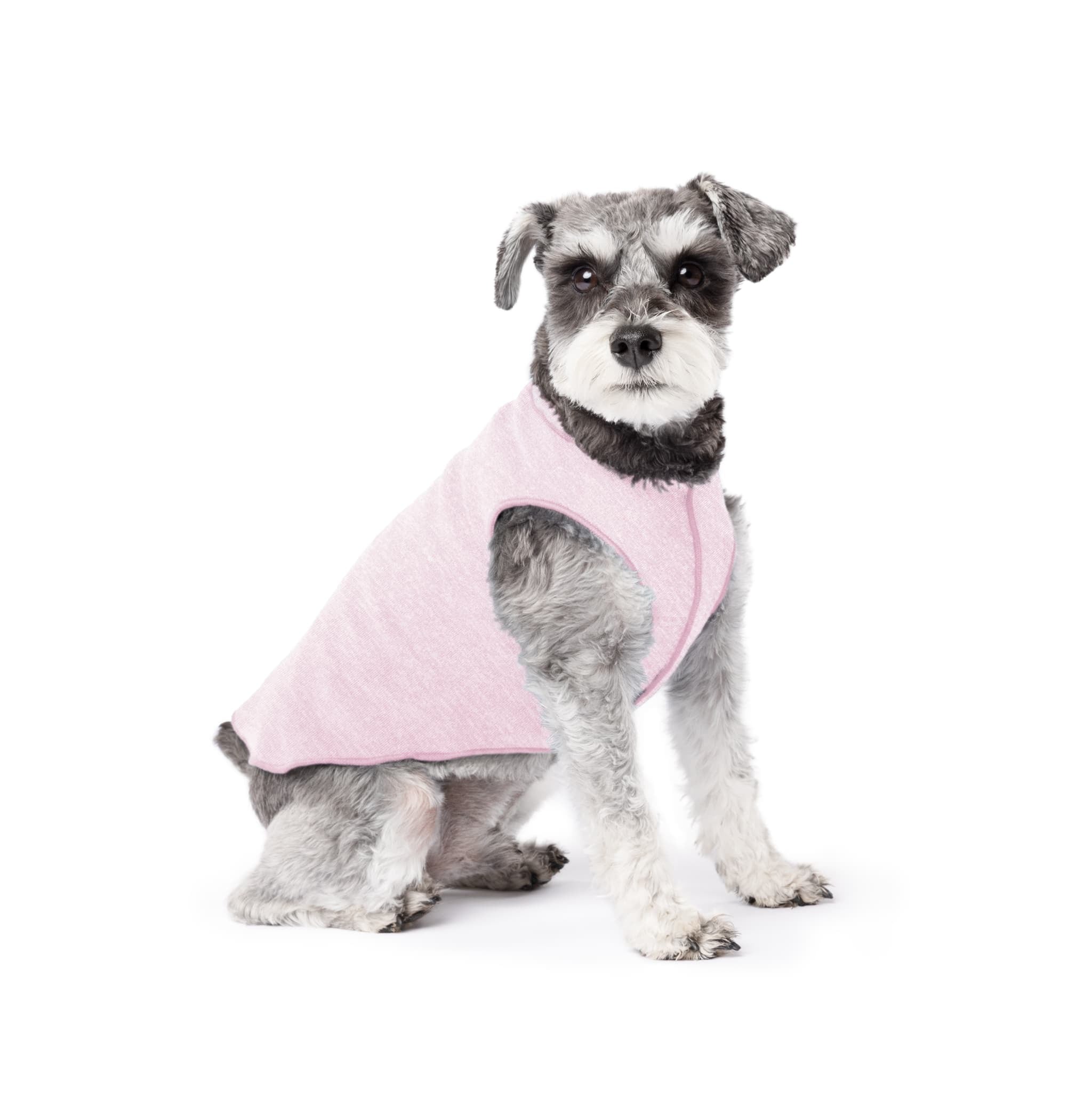【Goldpaw(ゴールドパウ)】UVカットTシャツ Pink ピンク /Sun Shield Tee