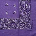 【Good！】70s RN13962 paisley ヴィンテージバンダナ