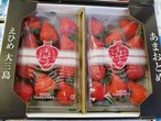 希少品種高糖度いちご【愛媛県産_あまおとめ】