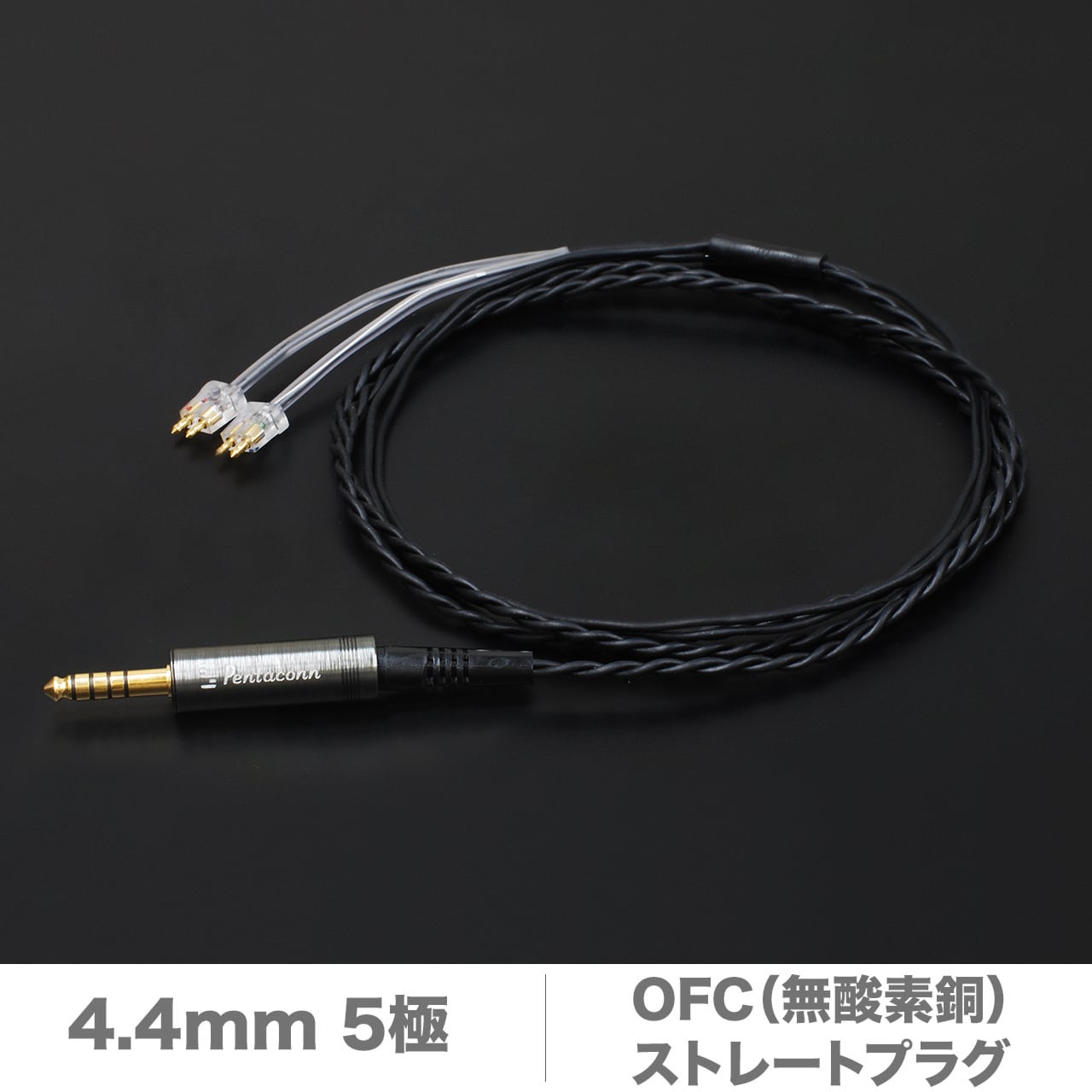 FitEar Laboratory FitEar Laboratory