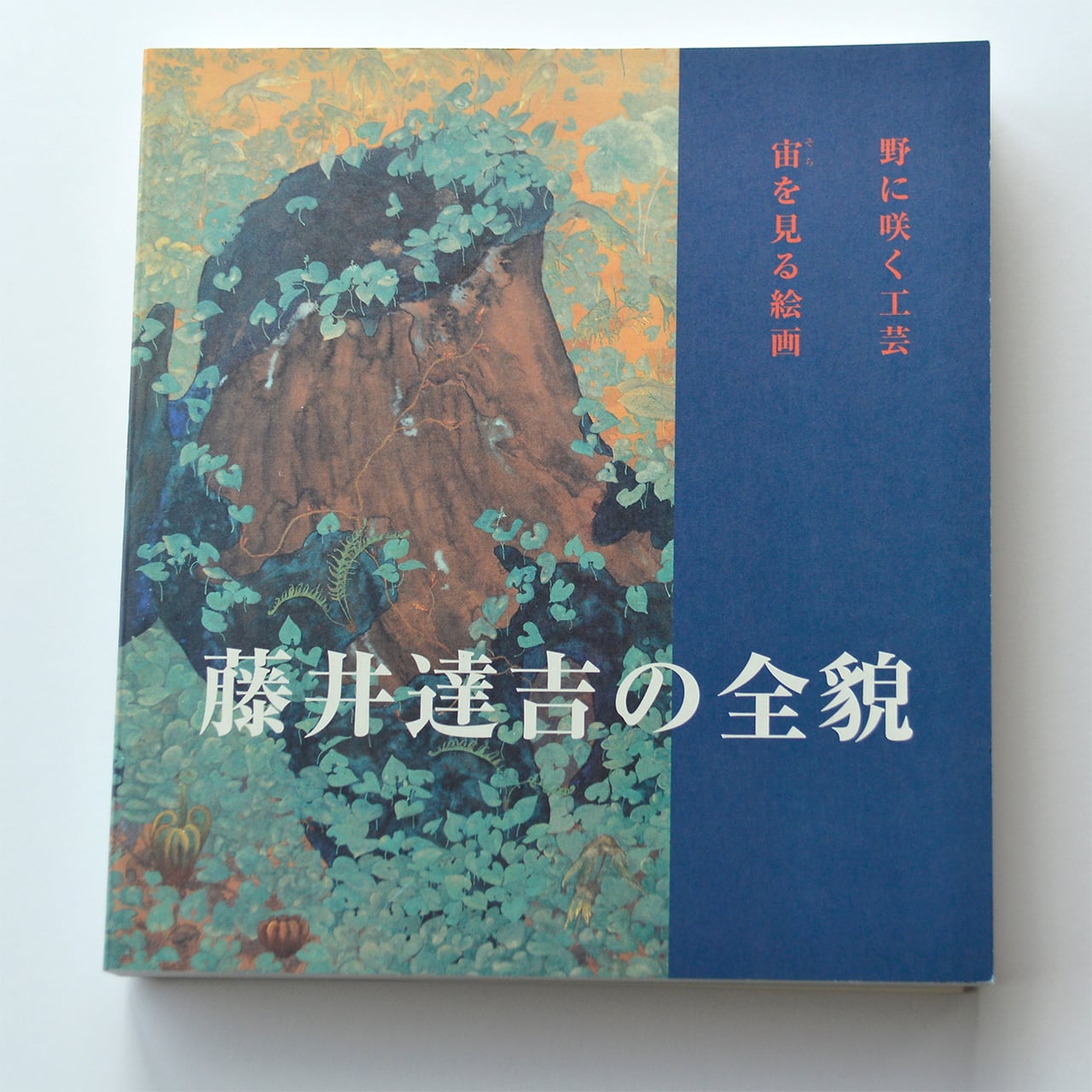 藤井逹吉の全貌 野に咲く工芸・宙を見る絵画展 図録