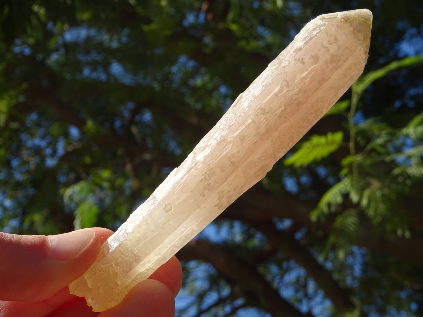 内モンゴルのピンク・クリスタル(Super Rare) ~さくら色の精霊~