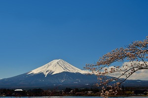 富士山と桜 05