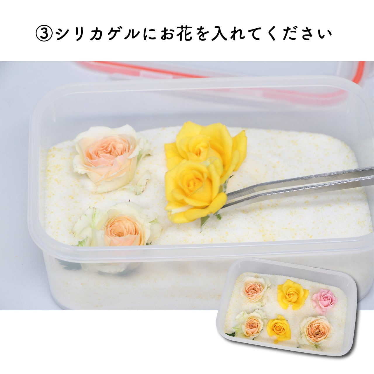 とても綺麗な色に仕上がる ドライフラワーのためのシリカゲル | rarubo