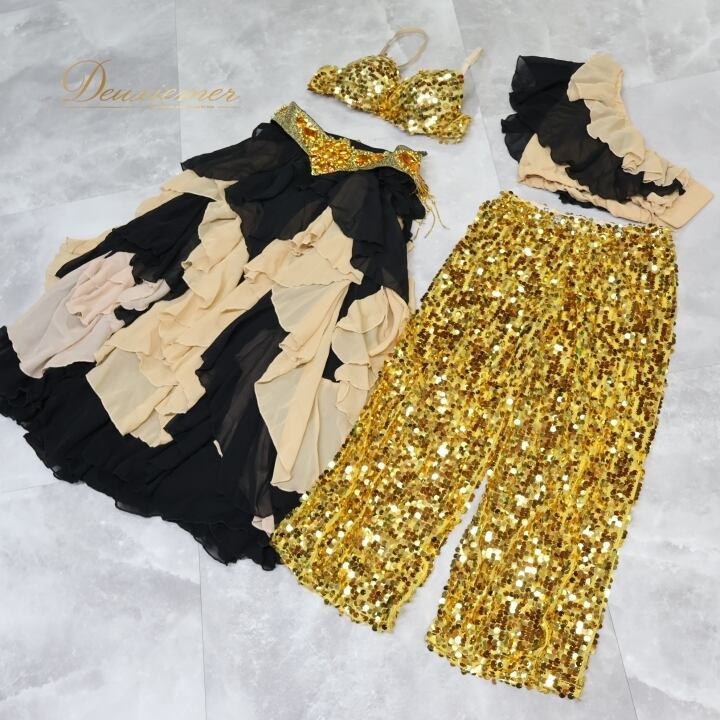 BANU ROSA 本番用ガウン　衣装　ベリーダンス　トライバルフュージョン ベリーダンス トライバルフュージョン 衣装 上下セット ブラック系