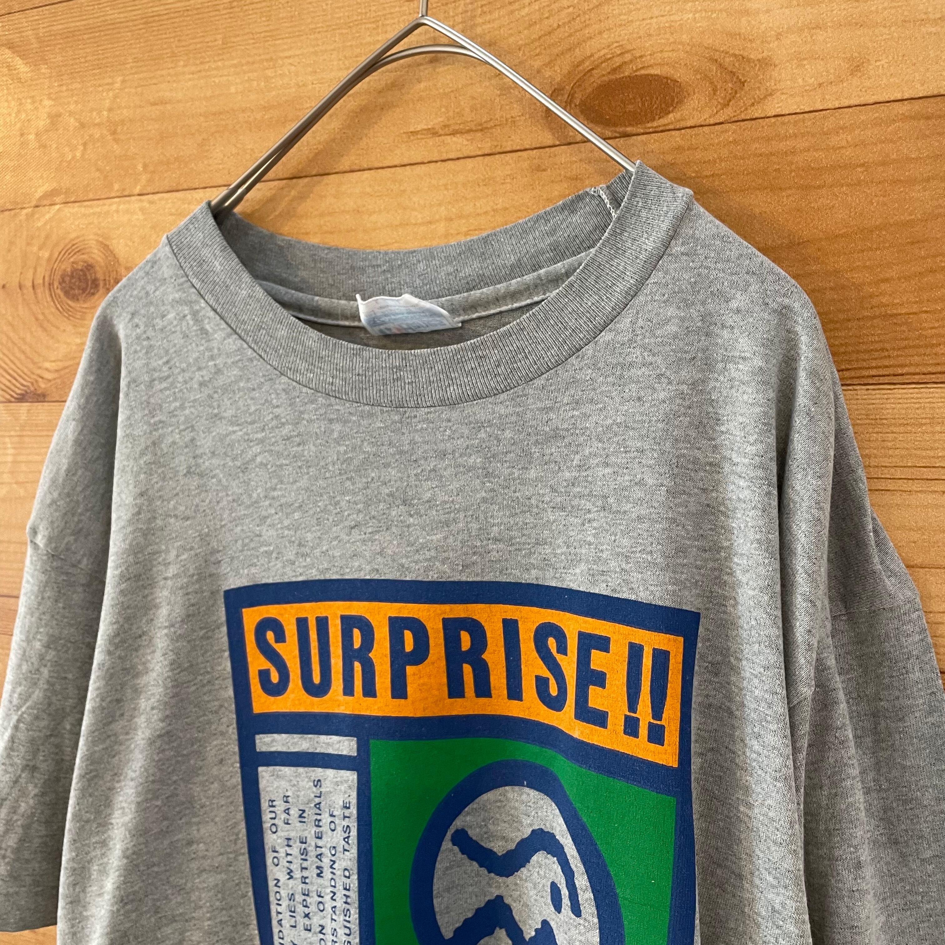 【希少】90s ヘインズ 厚手 USA製 Hiking プリント Tシャツ 半袖