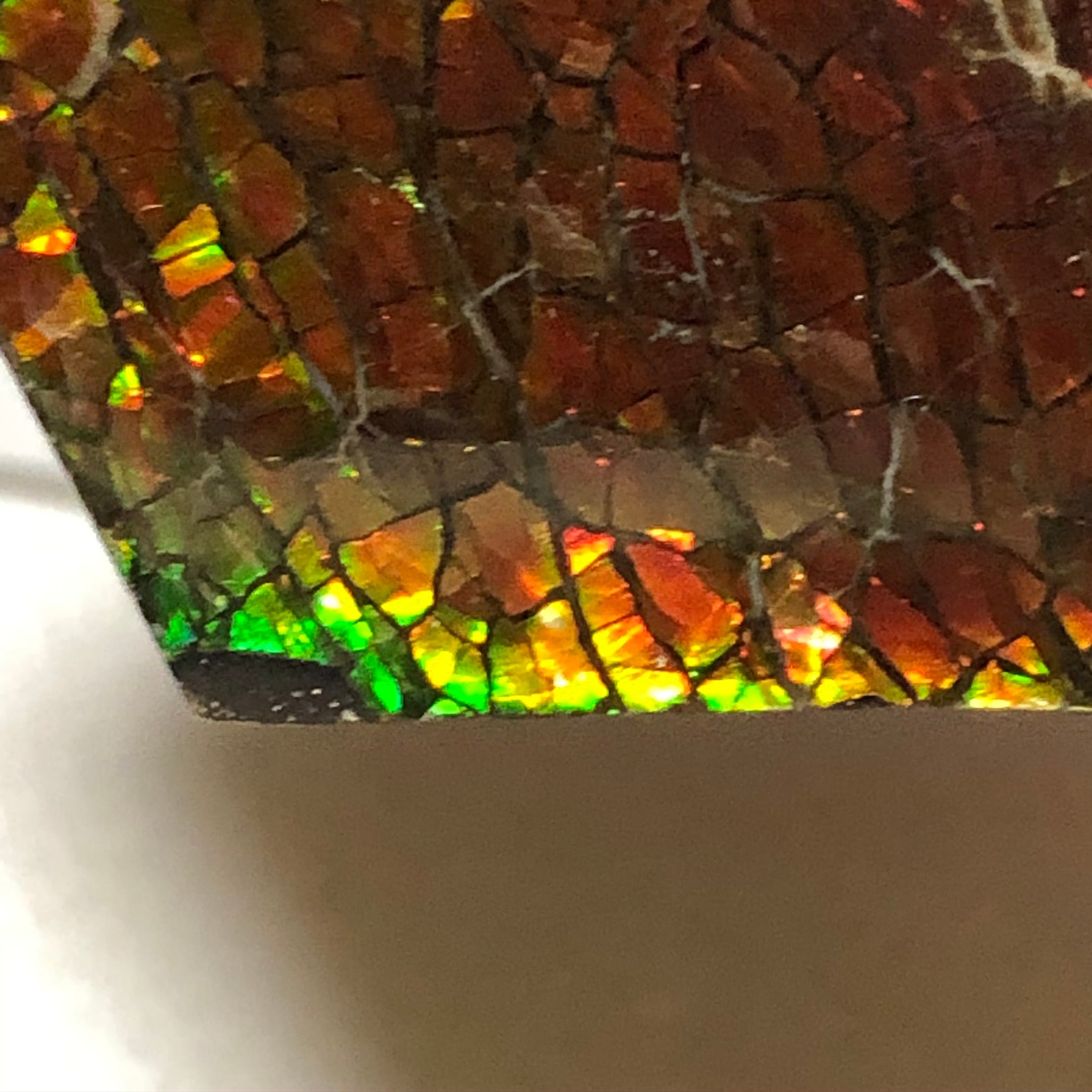 アンモライト ルース 最後の画像2枚裏面発色 24-0735 39000 【公式通販】