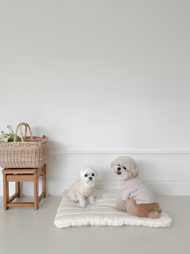 〈予約アイテム〉EYOU  アイレットTシャツ（ラベンダー）