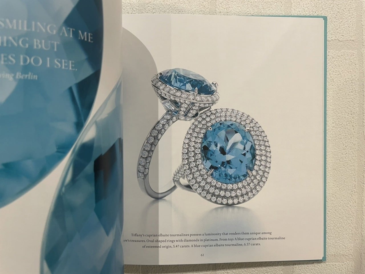 VF217】Tiffany & Co.『THE BLUE BOOK2014』 /visual book | KITAZAWA