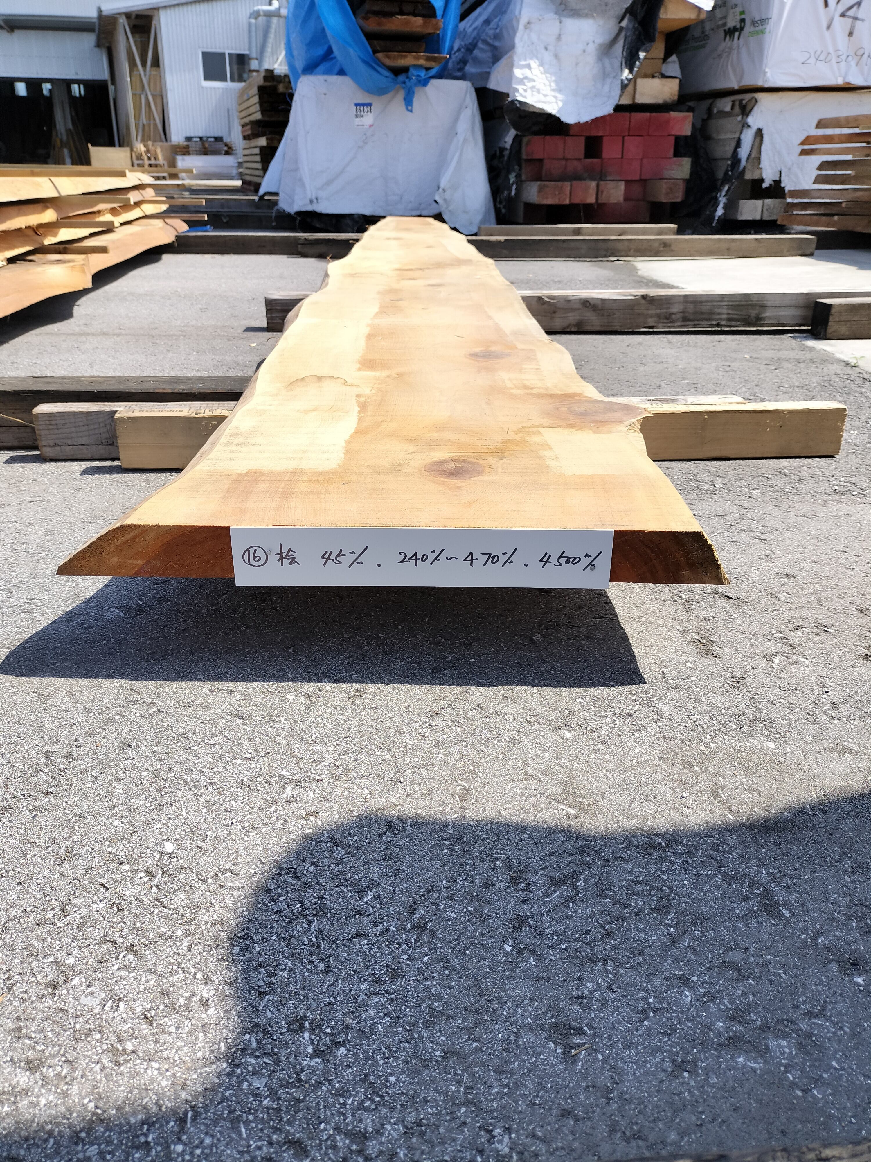 耳付盤木(桧)No.16