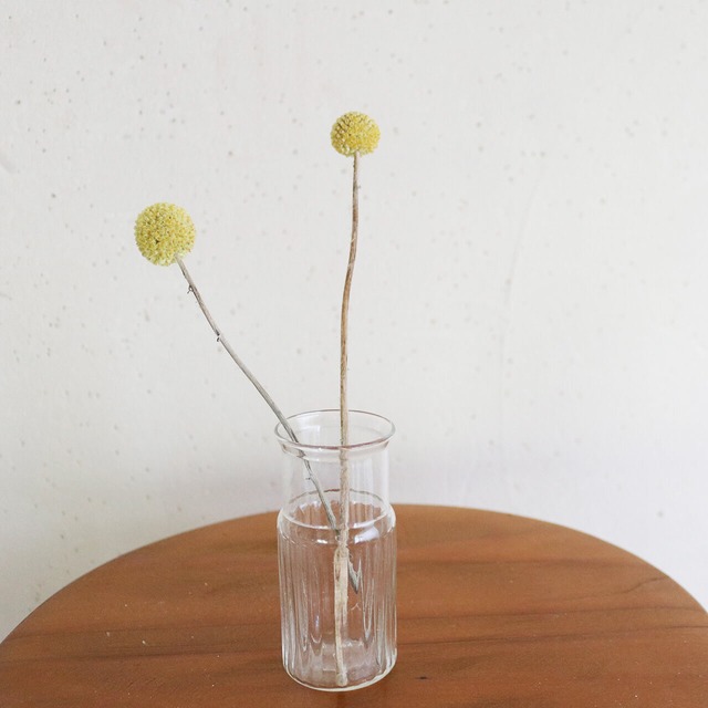 リューズガラス フィノライン フラワーベース ラティオ ◆ 花瓶 小さい レトロ