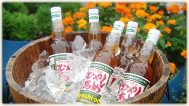 カタシモワイナリー カタシモのひやしあめ 濃縮 550ml 古木酒店 うまいもん オンラインショップ