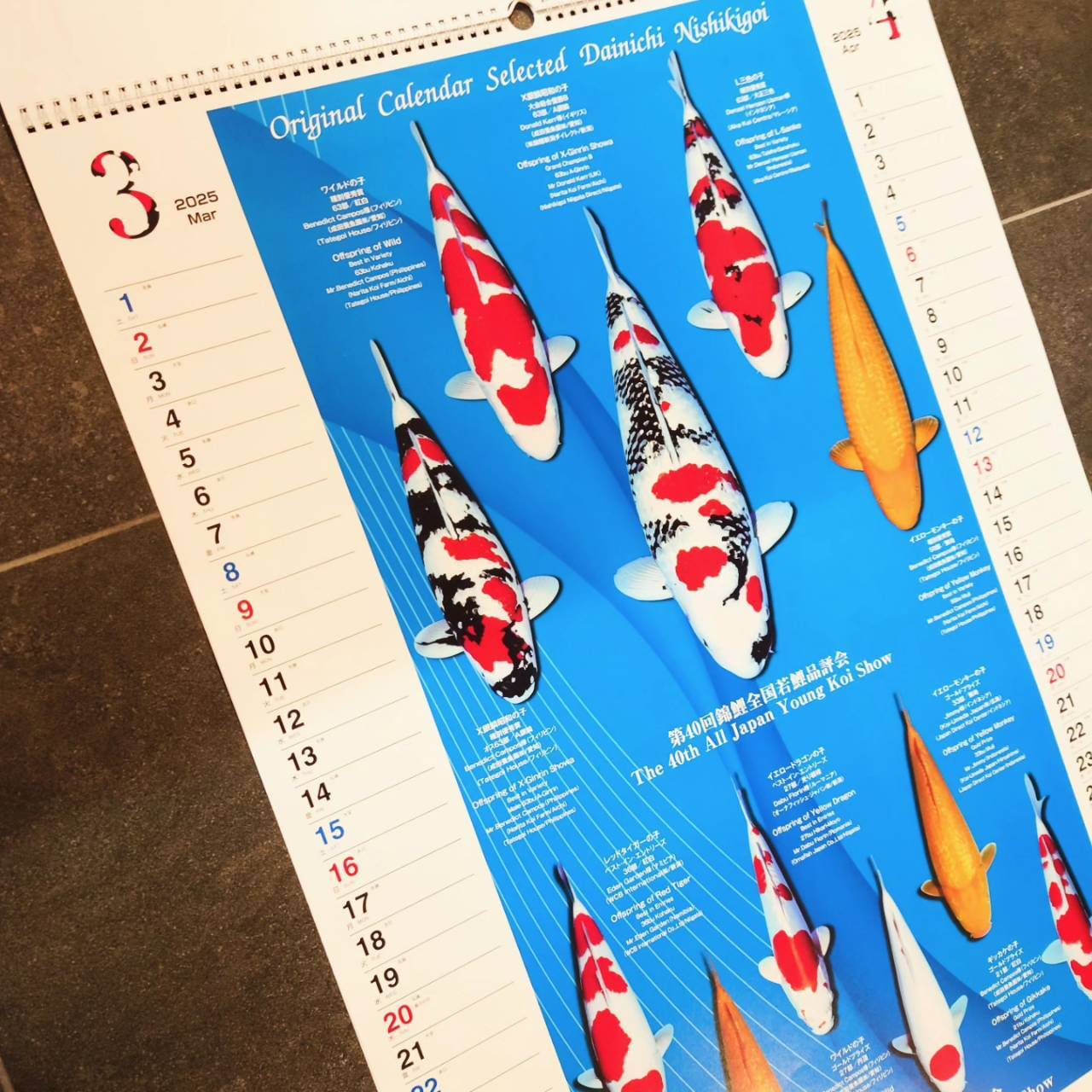 2025 PADDLERS COFFEEオリジナル日めくりカレンダー 2025 PADDLERS