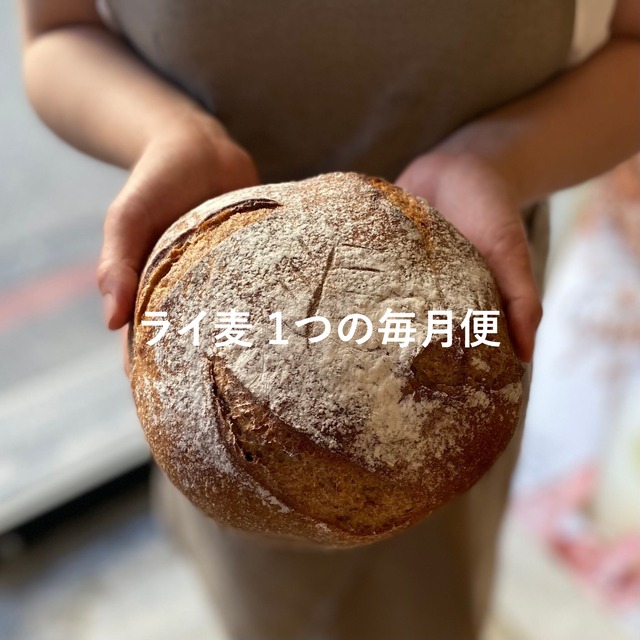 【毎月便】ライ麦１つ　サワードウブレッド　天然酵母　ハード系【水曜・日曜発送】【Bakery】