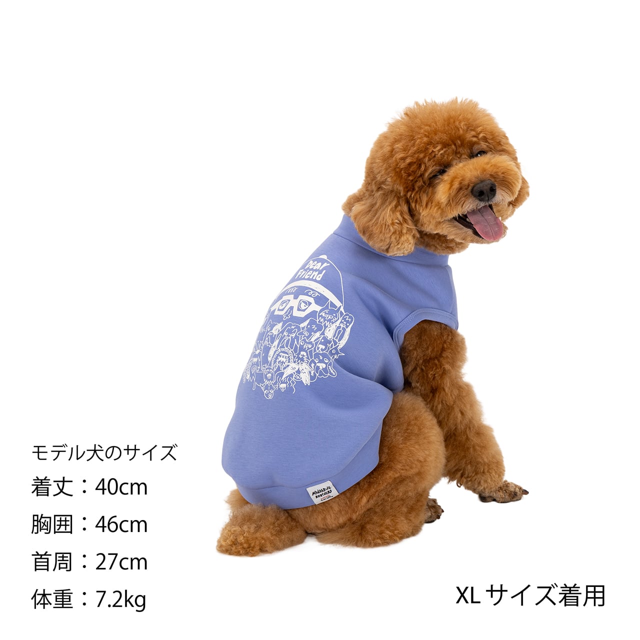 ダンボちゃん Amazon.co.jp: セキグチ あそんで! ディズニー ダンボ ぬいぐるみ