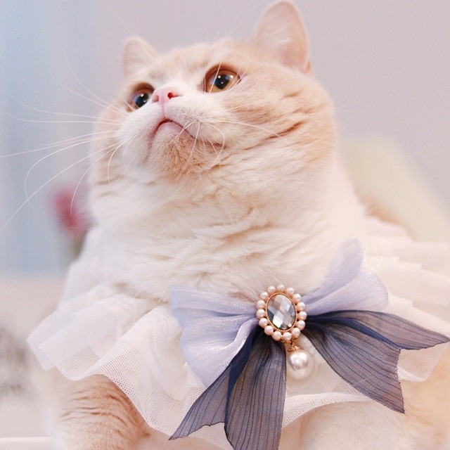 シアーブルーリボンエプロン 猫 付け襟