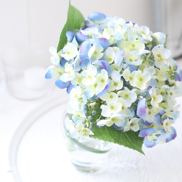 マジカルウォーターアレンジ ブルーのおたふくあじさい Sarasa Style