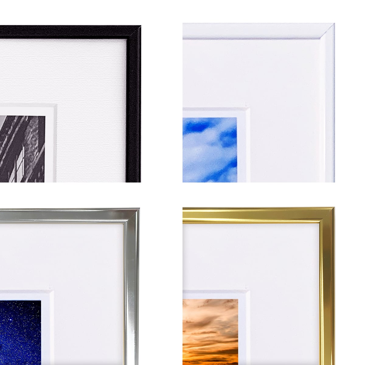 動物写真 熊 インテリア モノクロアートポスター額装 AS2947