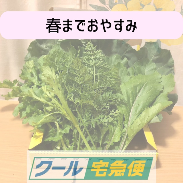 【春までおやすみ】＜クール便・金曜日発送＞【小さいサイズ】季節のお野菜セット